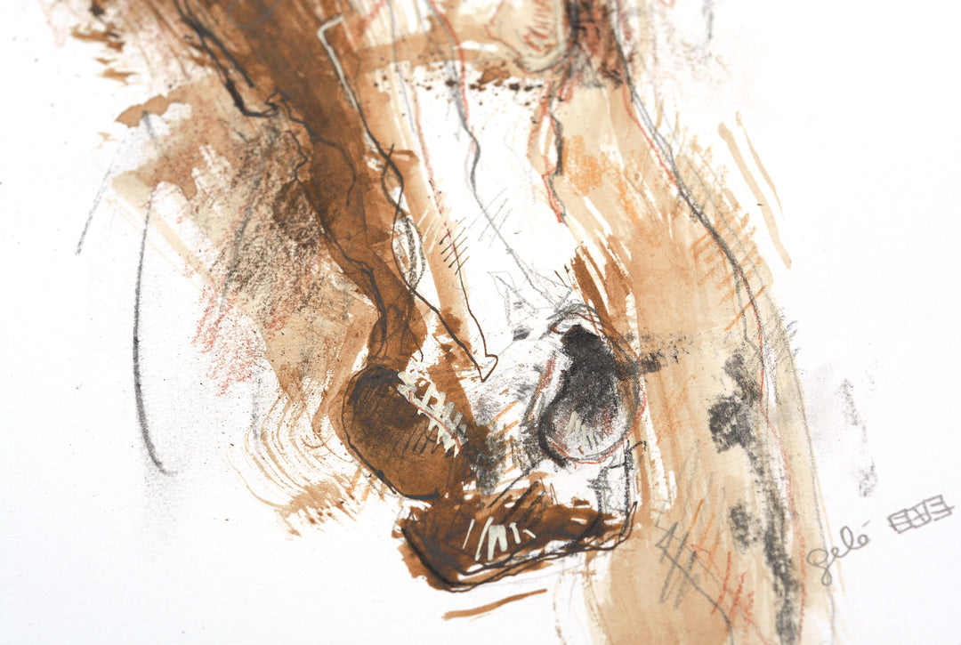 Face to Face 8 - Horse painting