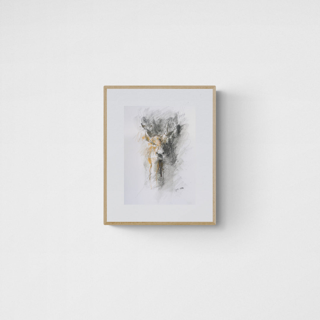Deer