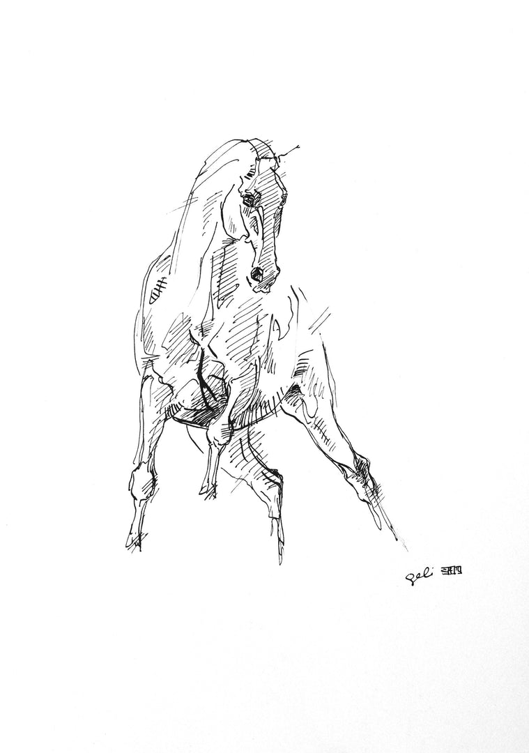 Equine Nude 268