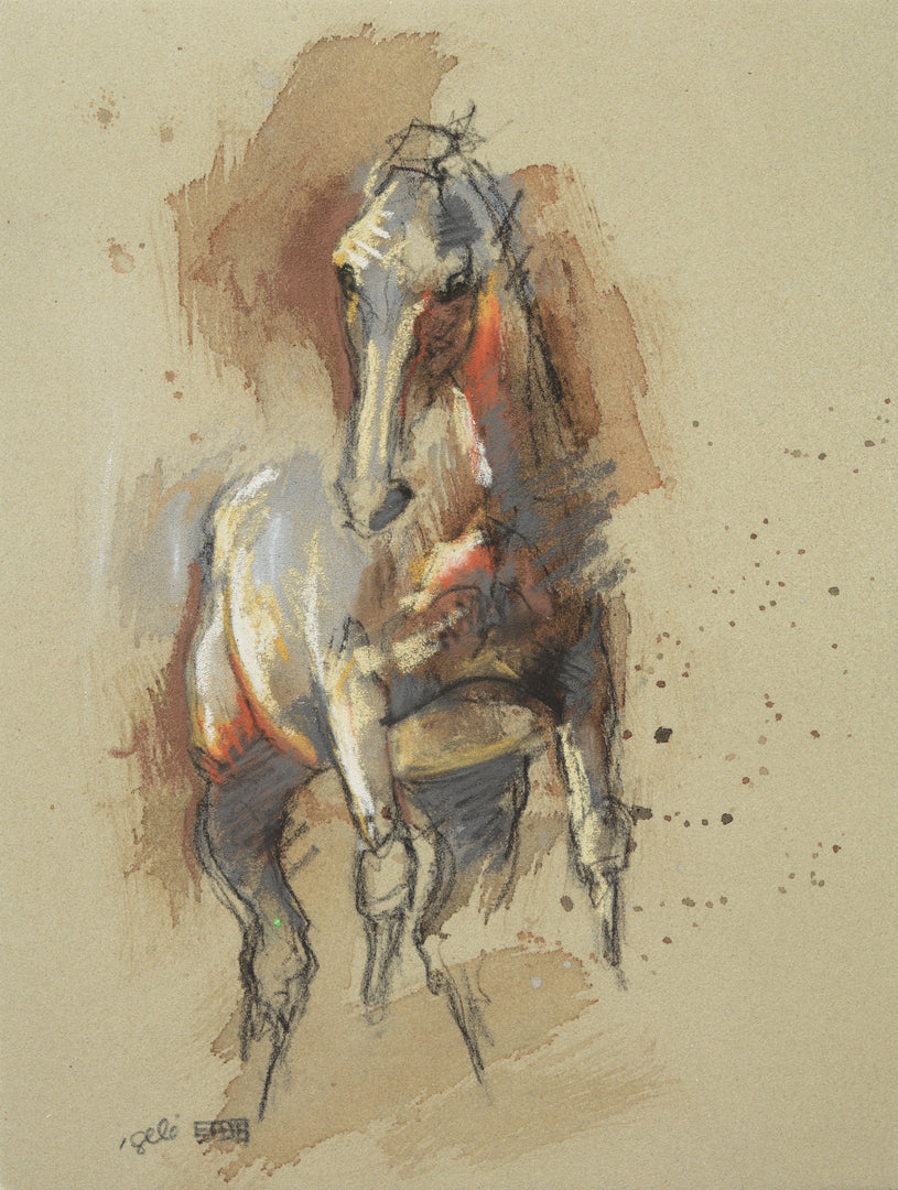 Equine Nude 298 - Horse drawing
