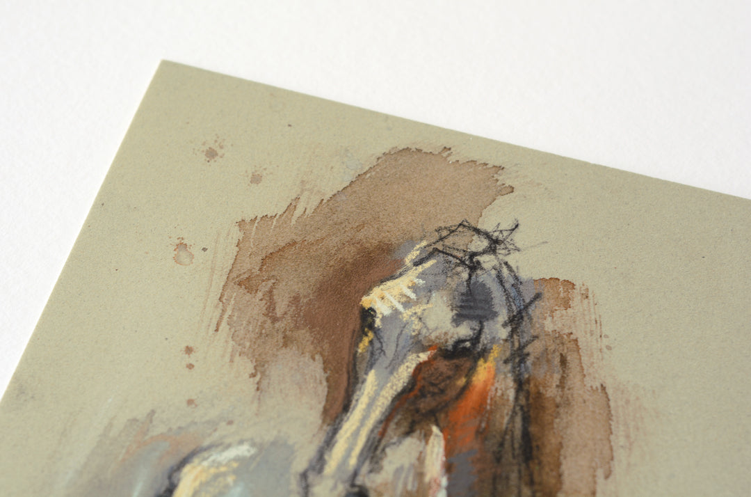 Equine Nude 298 - Horse drawing