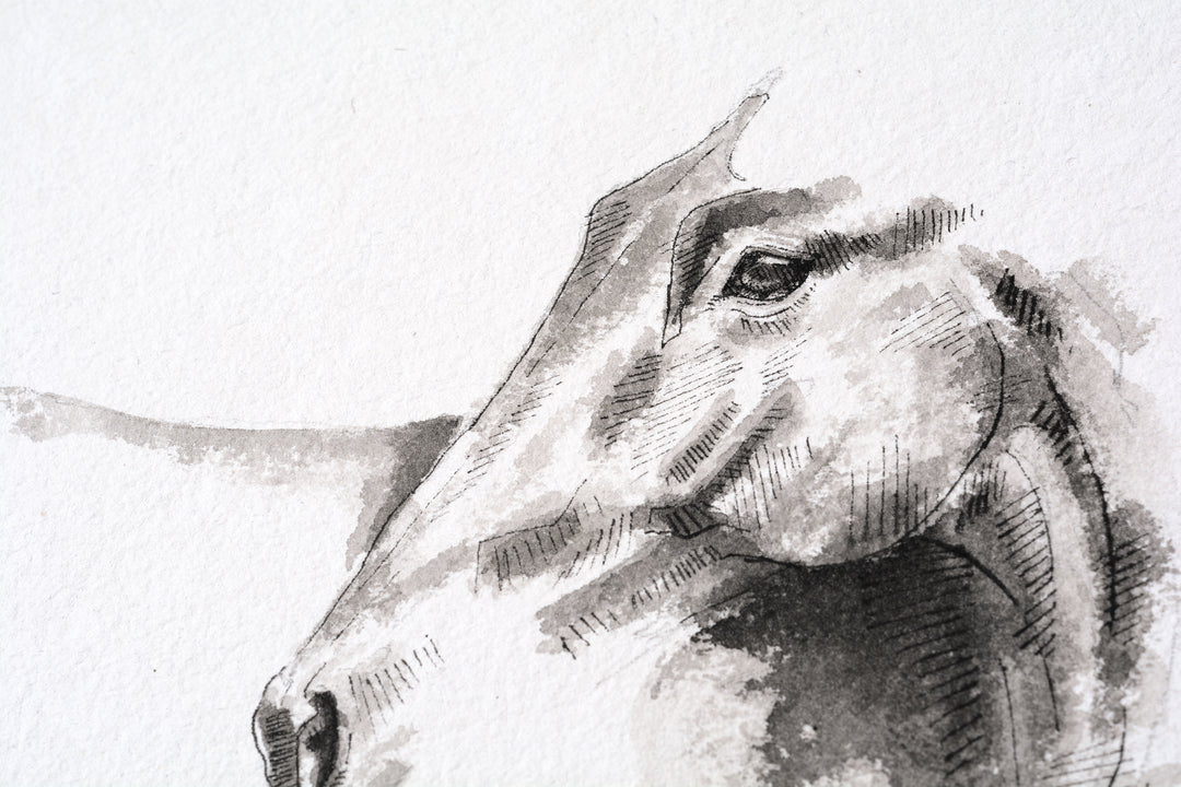 Equine Nude 300 - Horse Ink