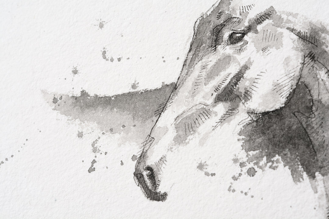 Equine Nude 301 - Horse Ink