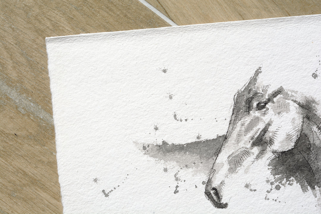 Equine Nude 301 - Horse Ink