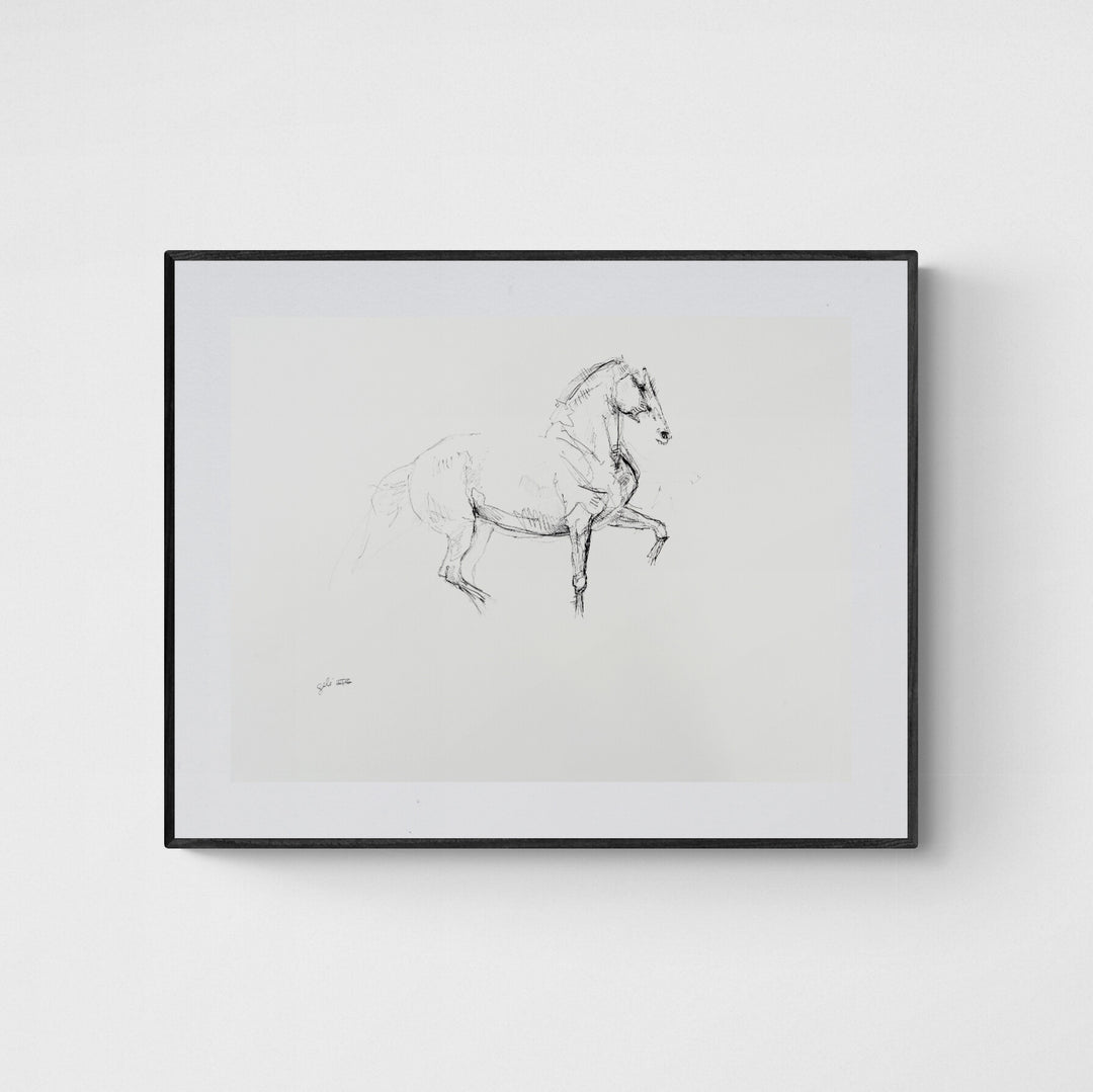 Equine Nude 30a