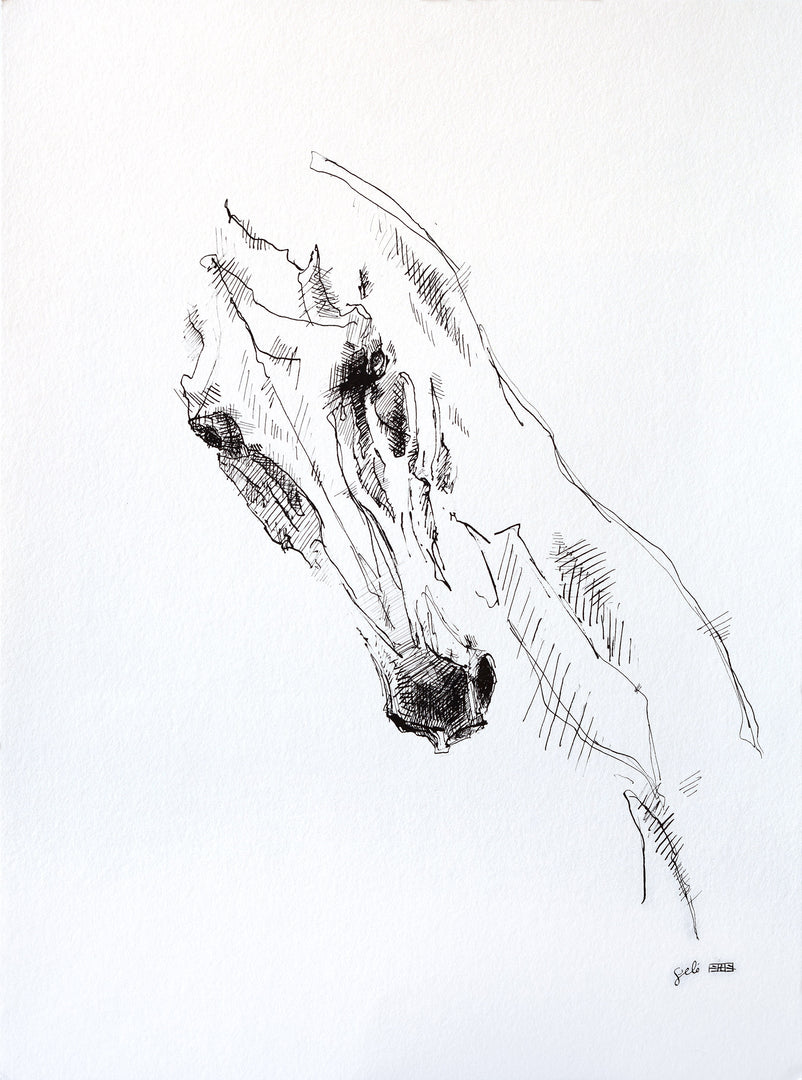 Expression 1a