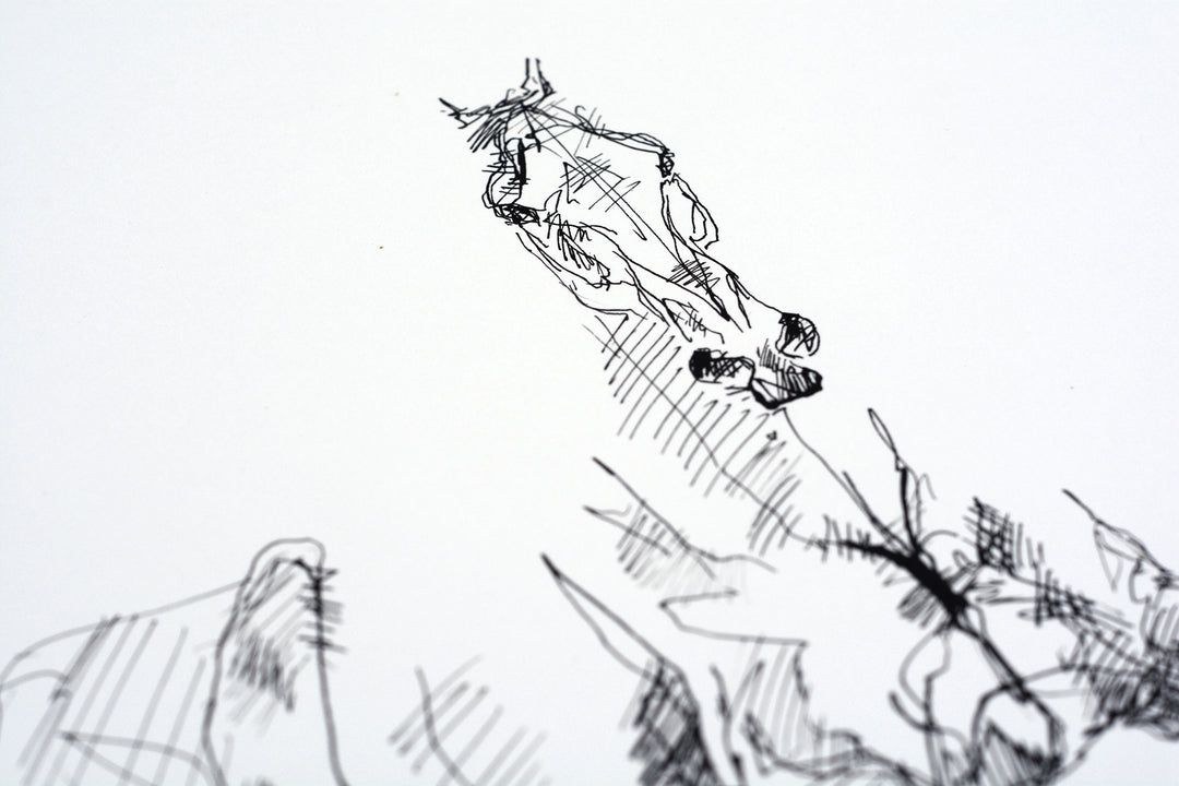Equine Nude 27a