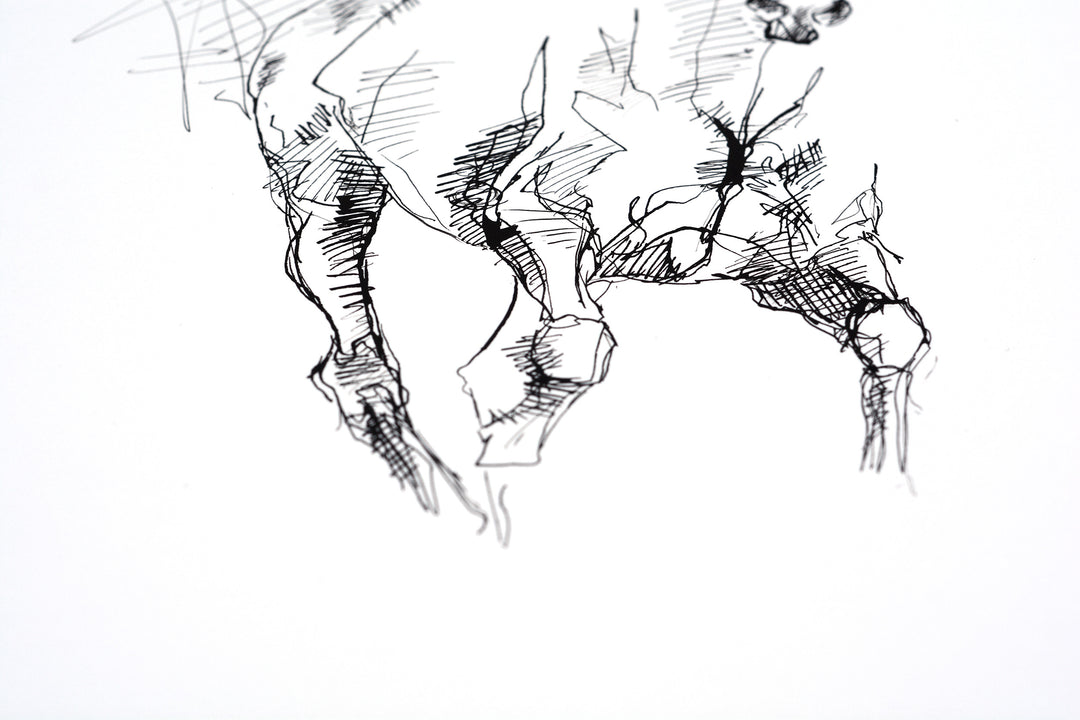 Equine Nude 27a
