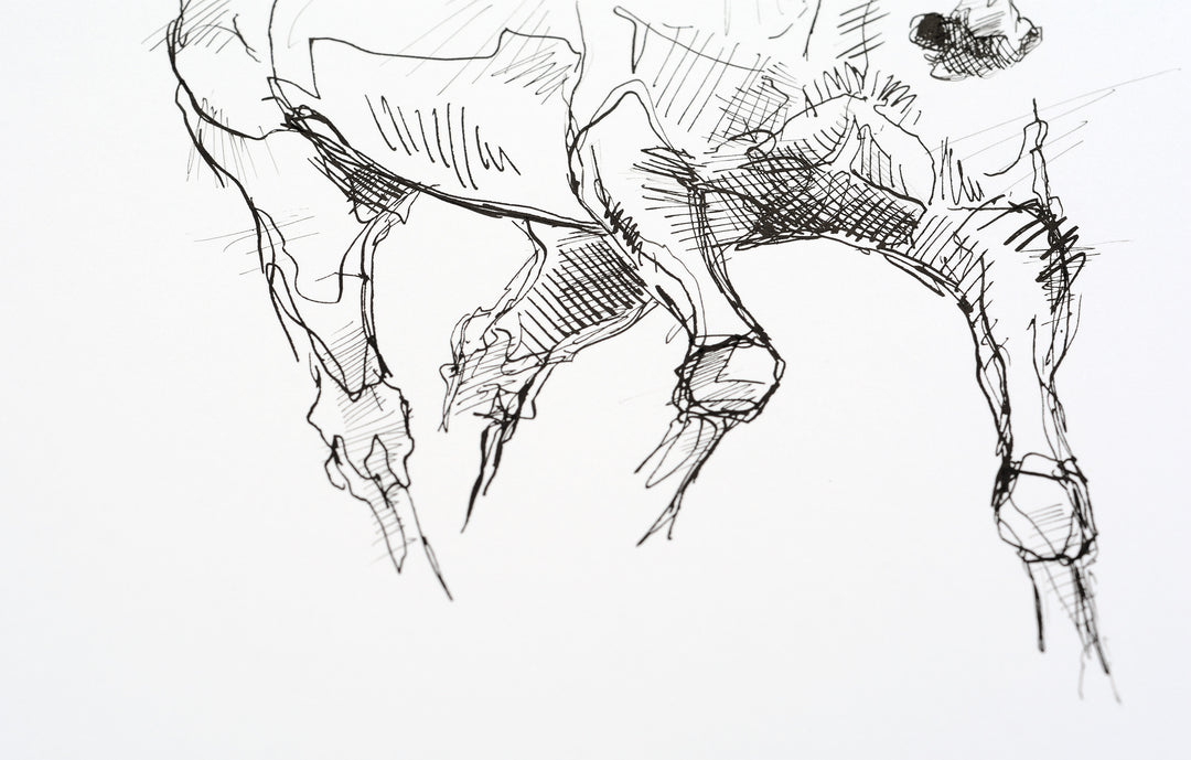 Equine Nude 29a