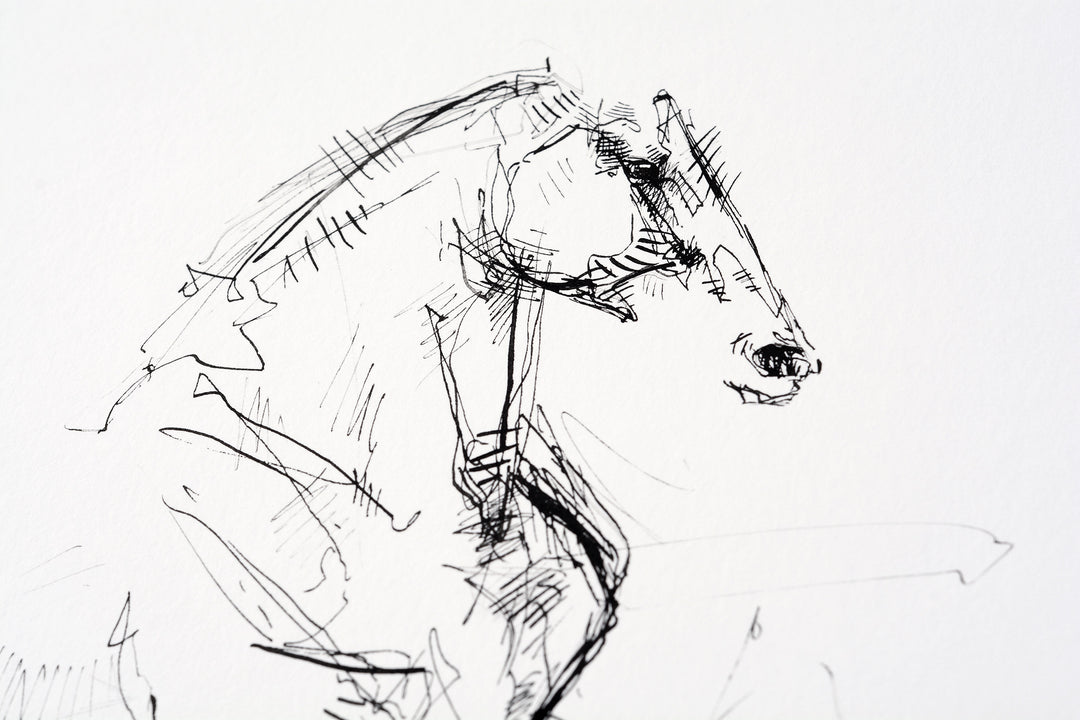 Equine Nude 30a