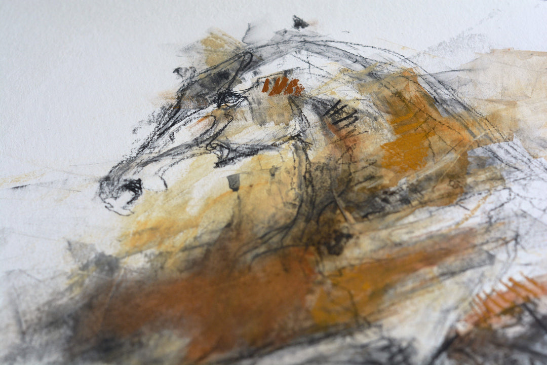 Equine Nude 12p