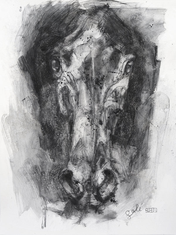 face to face 7p charcoal drawing
