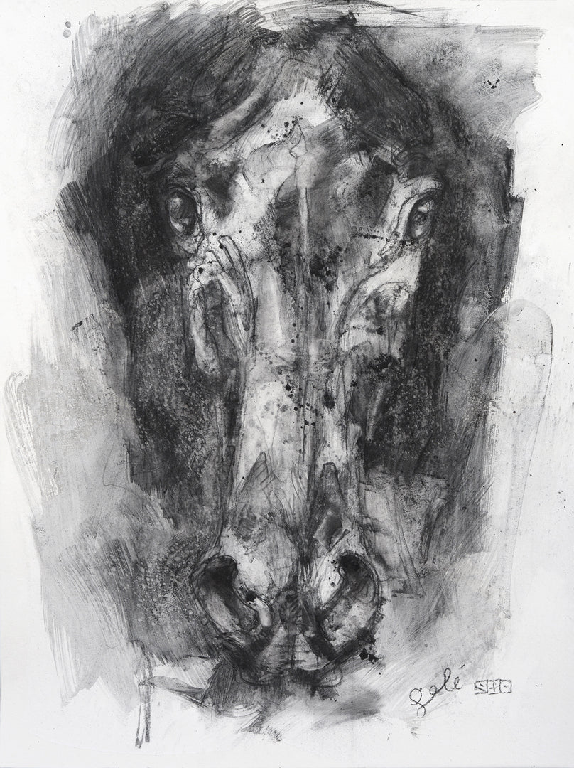 face to face 7p charcoal drawing