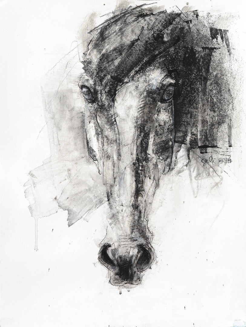 Face to Face 14p - Horse drawing