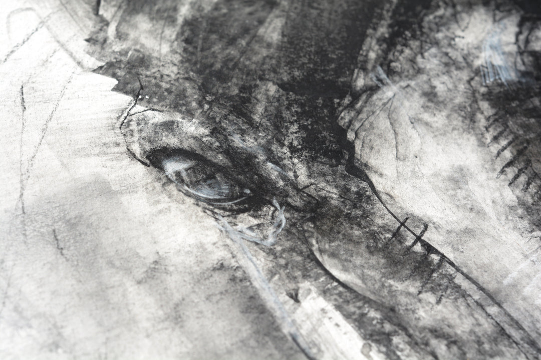 Face to Face 14p - Horse drawing