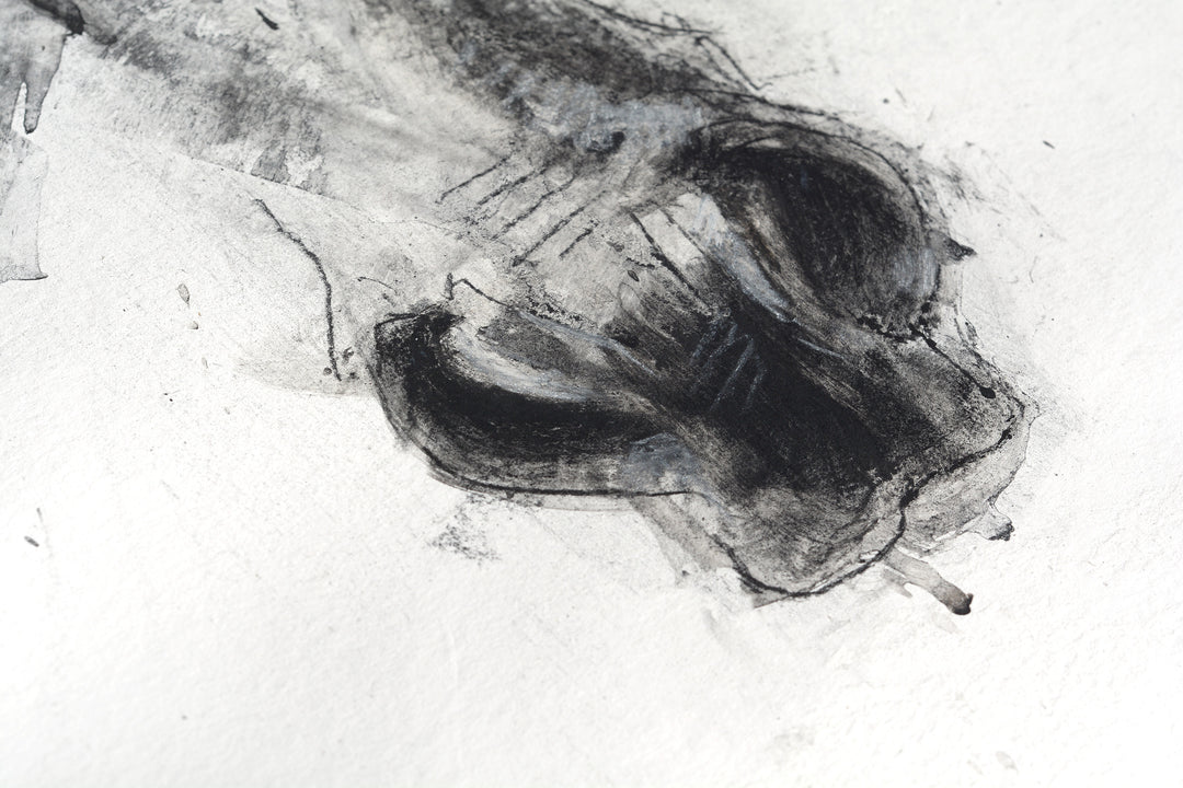 Face to Face 14p - Horse drawing
