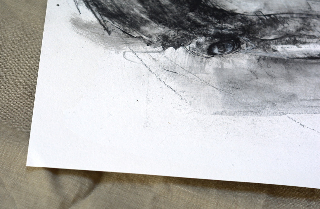 Face to Face 14p - Horse drawing