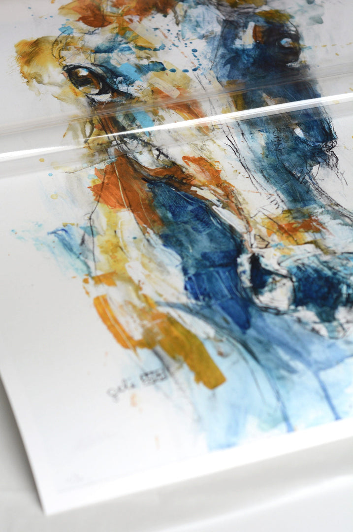 Face to Face 36t Print