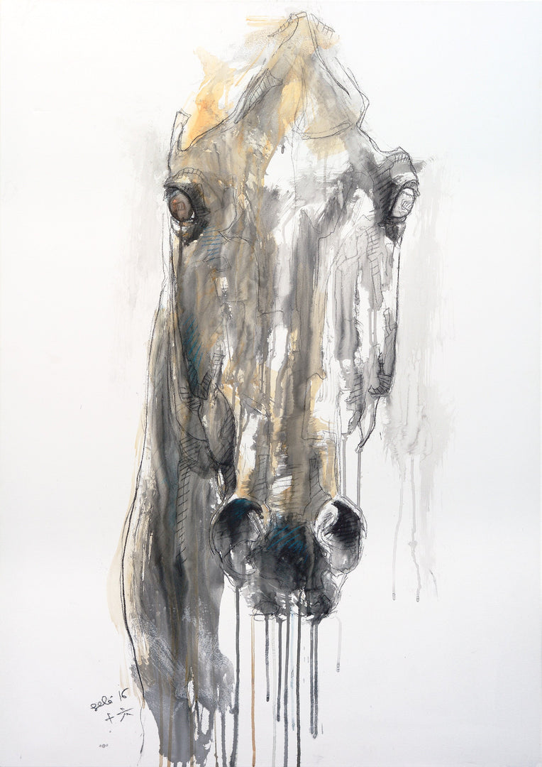 Alert 10t - Face to Face Equine Portrait by Bénédicte Gelé