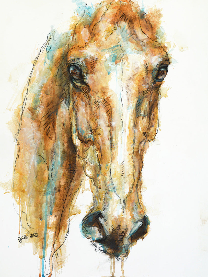 Face to Face 29t - Frontal equine portrait by Bénédicte Gelé