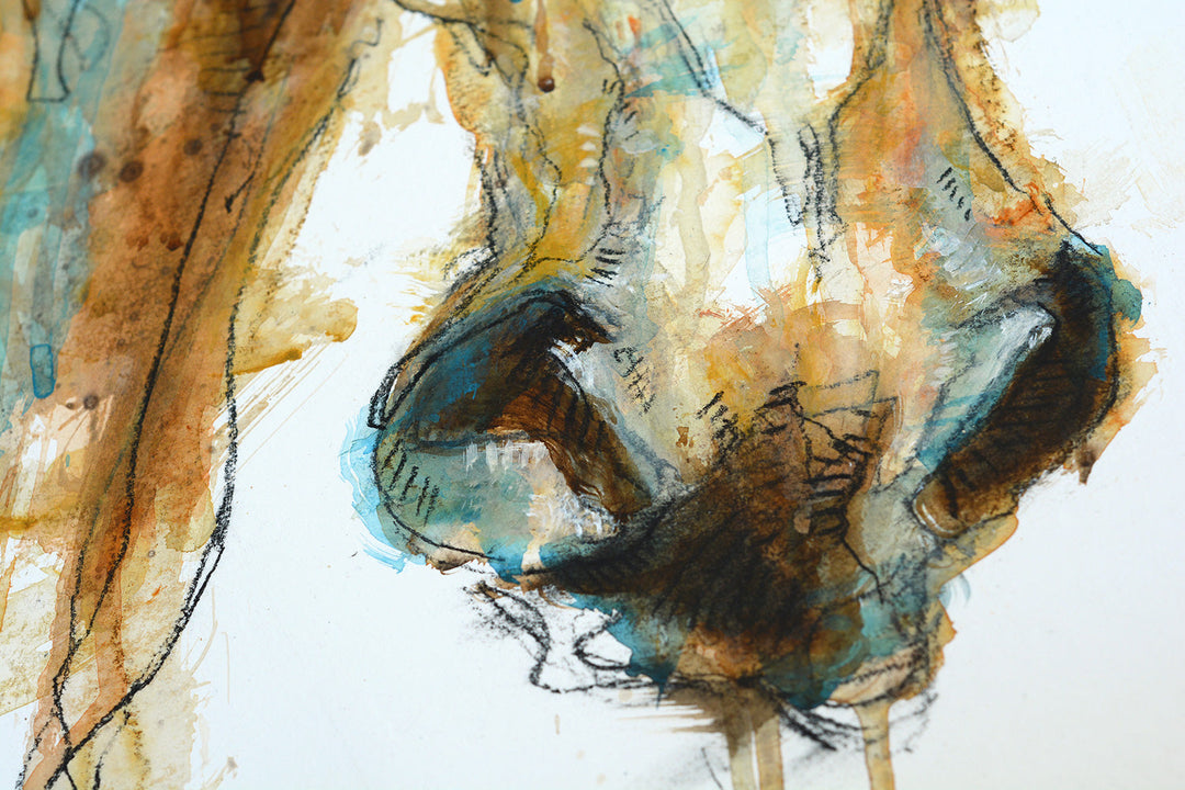 Face to Face 29t - Frontal equine portrait by Bénédicte Gelé