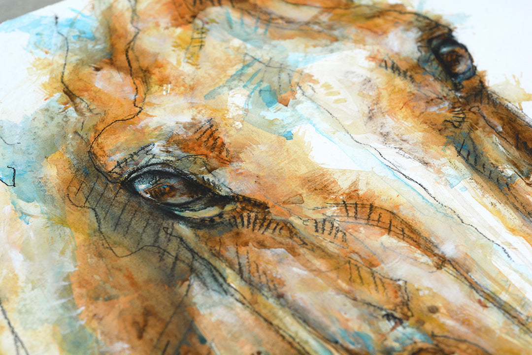 Face to Face 29t - Frontal equine portrait by Bénédicte Gelé