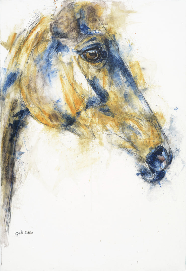 Expression 15t Print