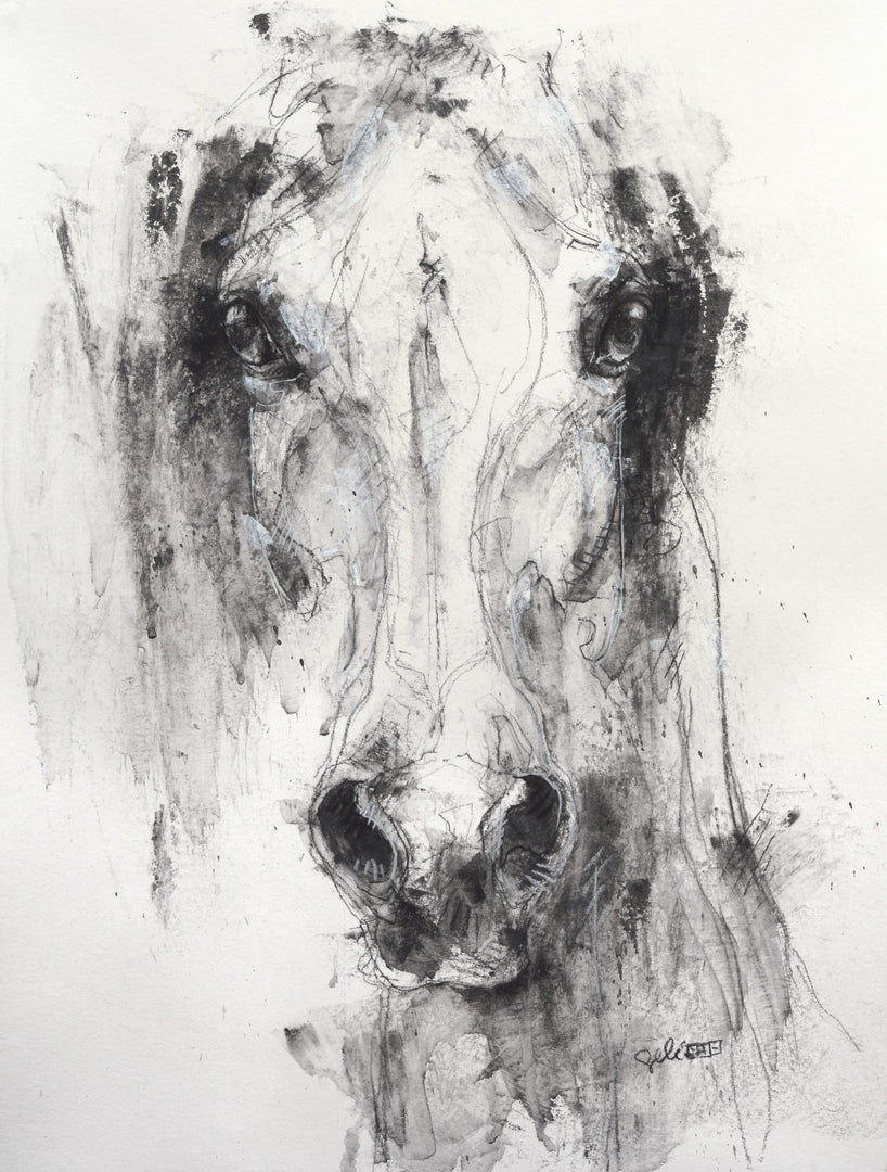 Face to Face 46t - Black & white Equine Art Portrait by Bénédicte Gelé