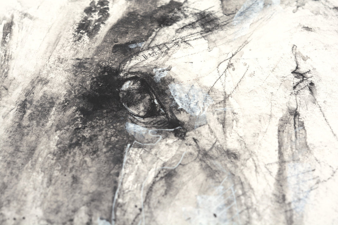 Face to Face 46t - Black & white Equine Art Portrait by Bénédicte Gelé