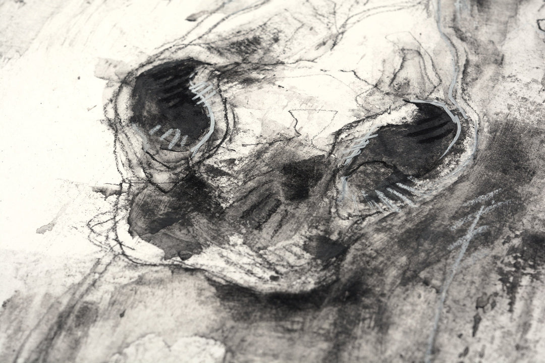 Face to Face 46t - Black & white Equine Art Portrait by Bénédicte Gelé