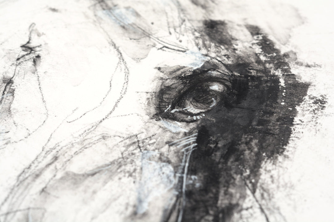 Face to Face 46t - Black & white Equine Art Portrait by Bénédicte Gelé