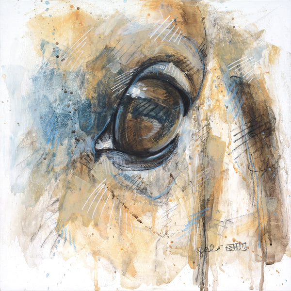 Expression 38t - horse eye
