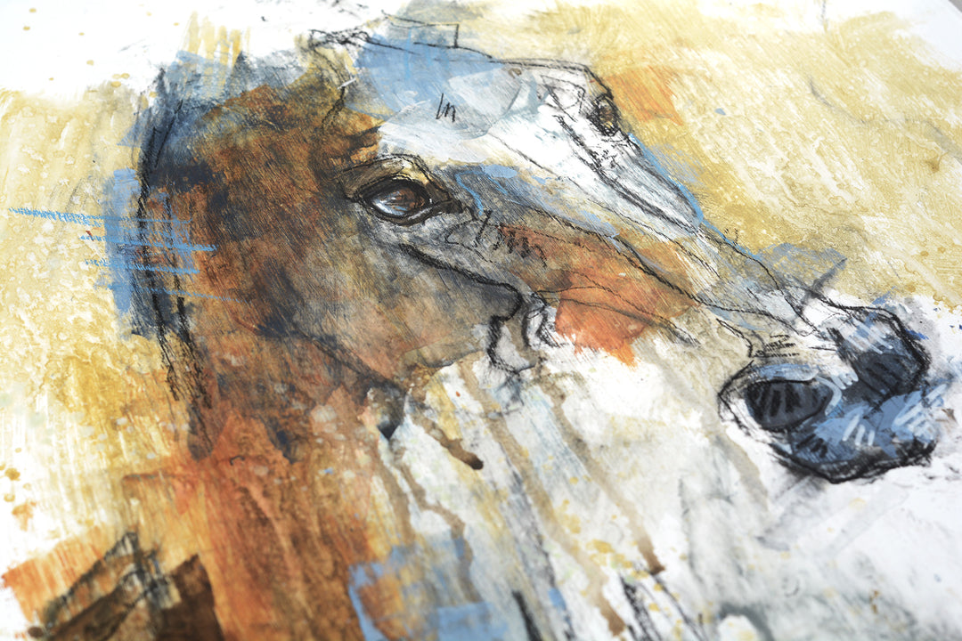 Equine nude 161t