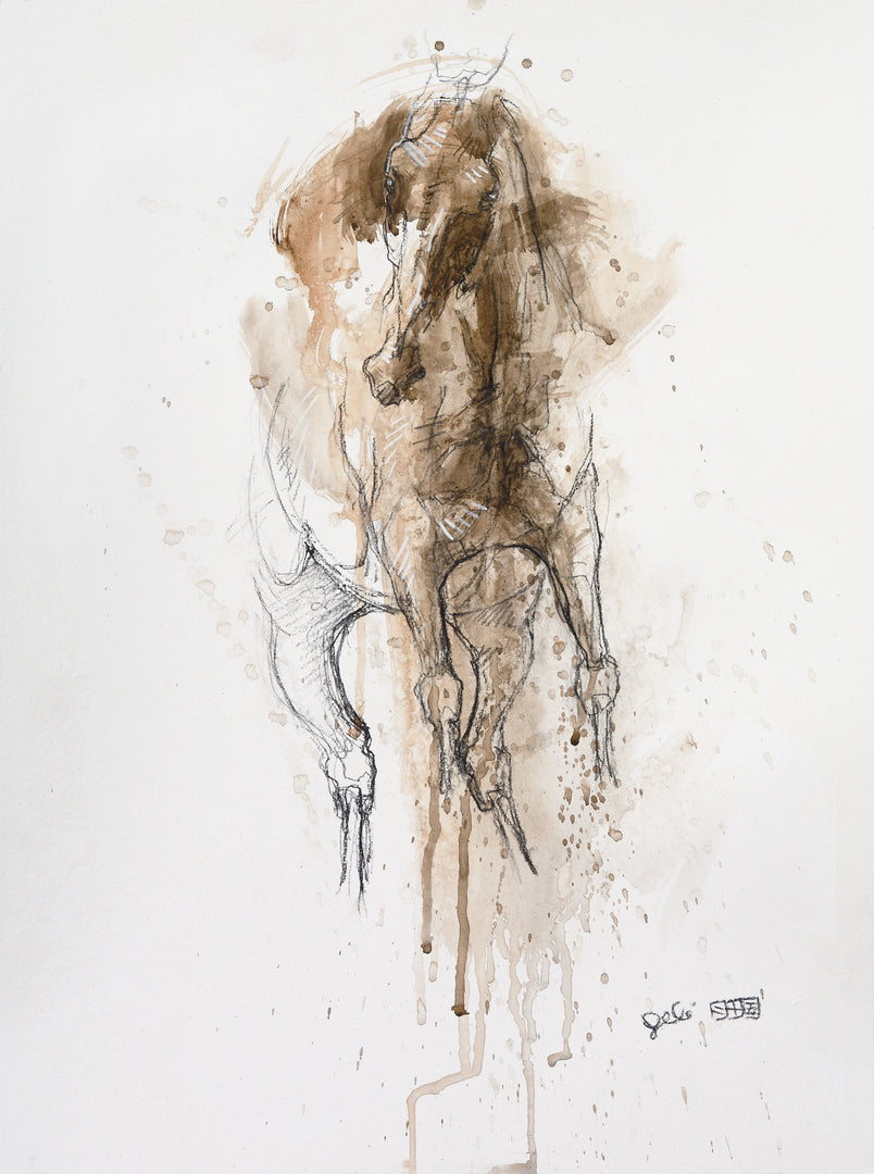 Day 12 - Equine Nude 165t