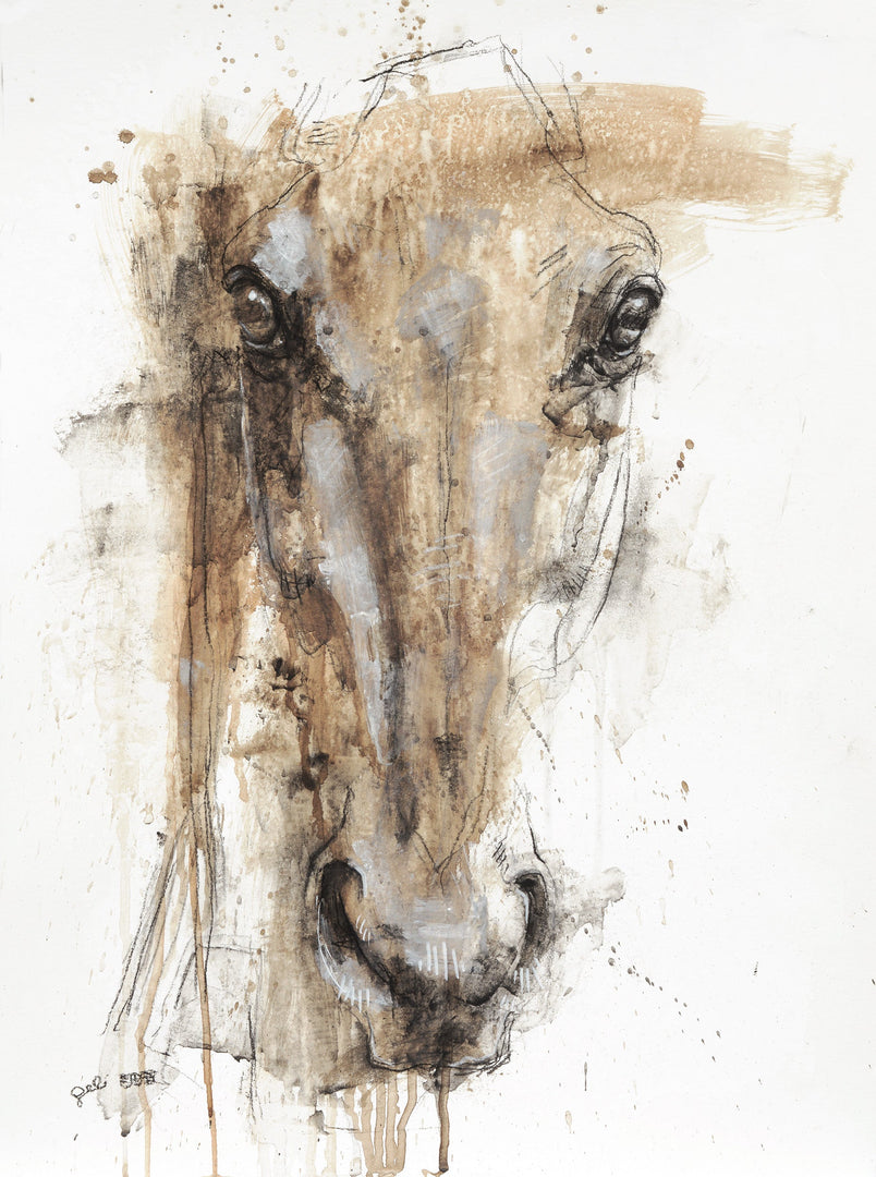 Face to face 80t - Frontal equine portrait by Bénédicte Gelé