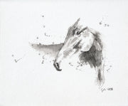 Horse Drawing: Why Observation Comes Before Anatomy