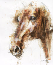 Commissioned Horse Portrait Painting – A Challenge of Color and Balance