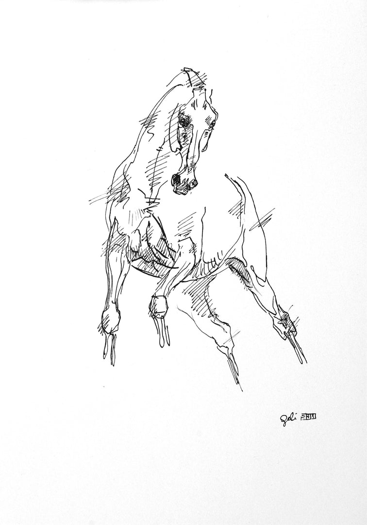 Equine Nude 269