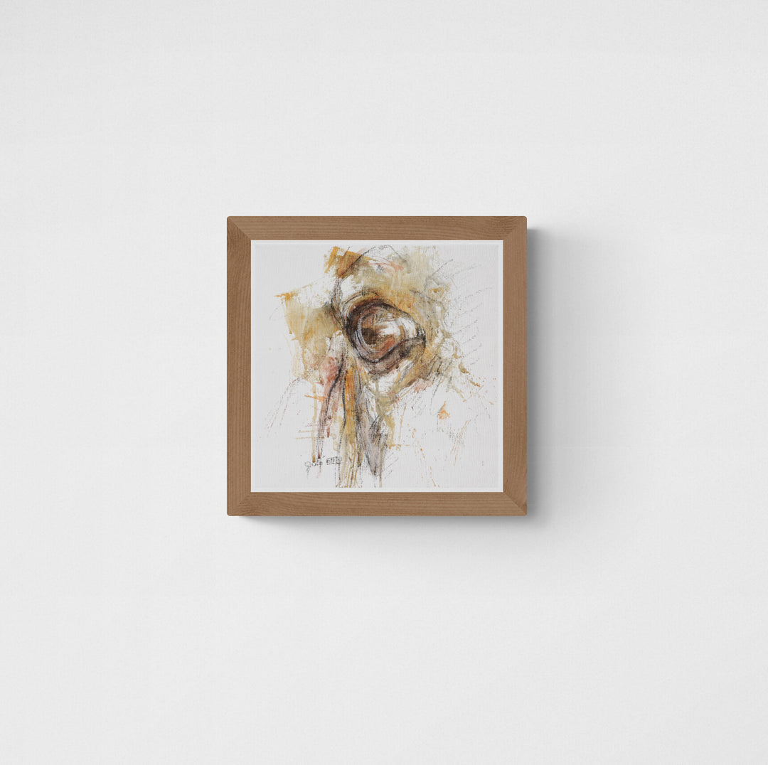 Look XXIX - Horse Head Painting horse painting by contemporary artist Bénédicte Gelé
