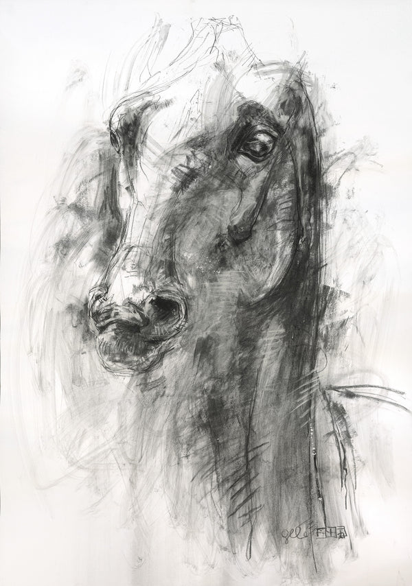 Expression 8p - Horse Portrait Painting horse painting by contemporary artist Bénédicte Gelé