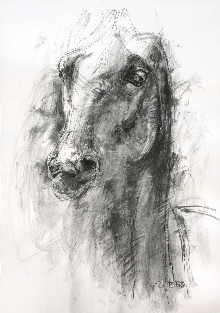 Expression 8p - Horse Portrait Painting horse painting by contemporary artist Bénédicte Gelé