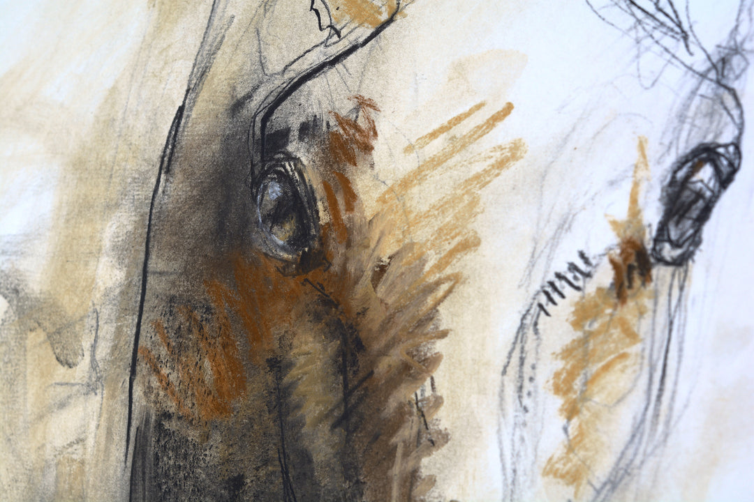 Raw Equine 2p - Horse Drawing horse painting by contemporary artist Bénédicte Gelé