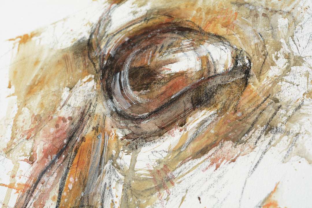 Look XXIX - Horse Head Painting horse painting by contemporary artist Bénédicte Gelé