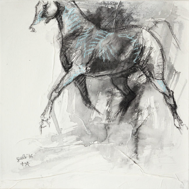 Equine Nude 23t