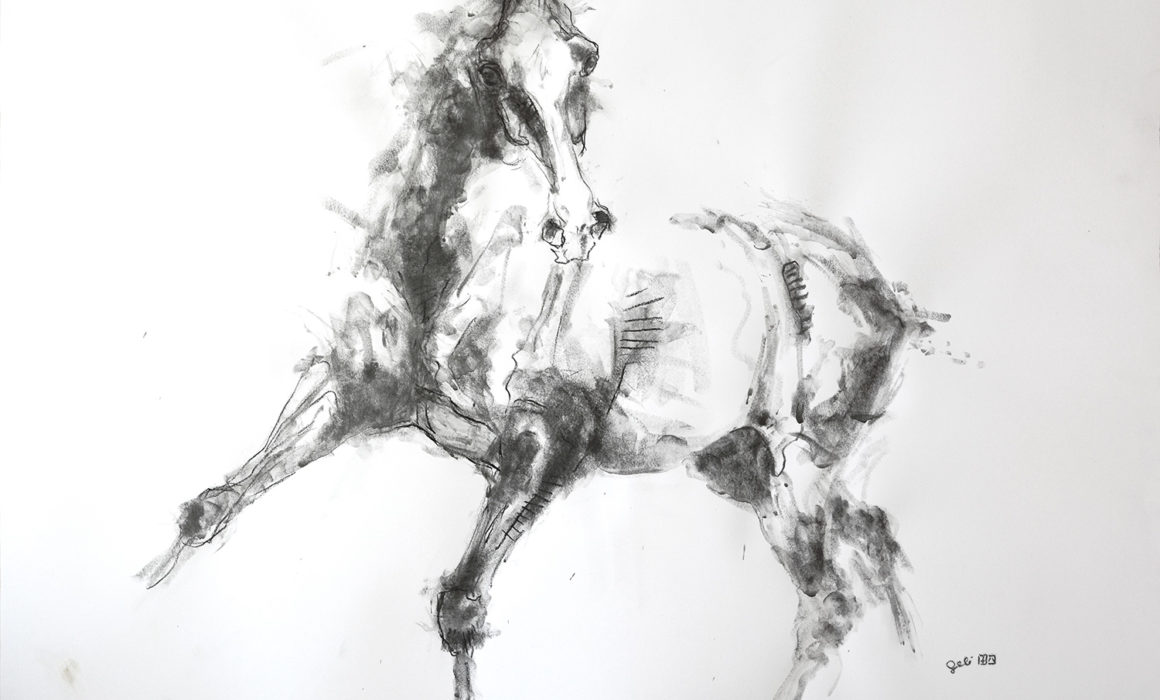 Equine Nude 9P drawing on paper