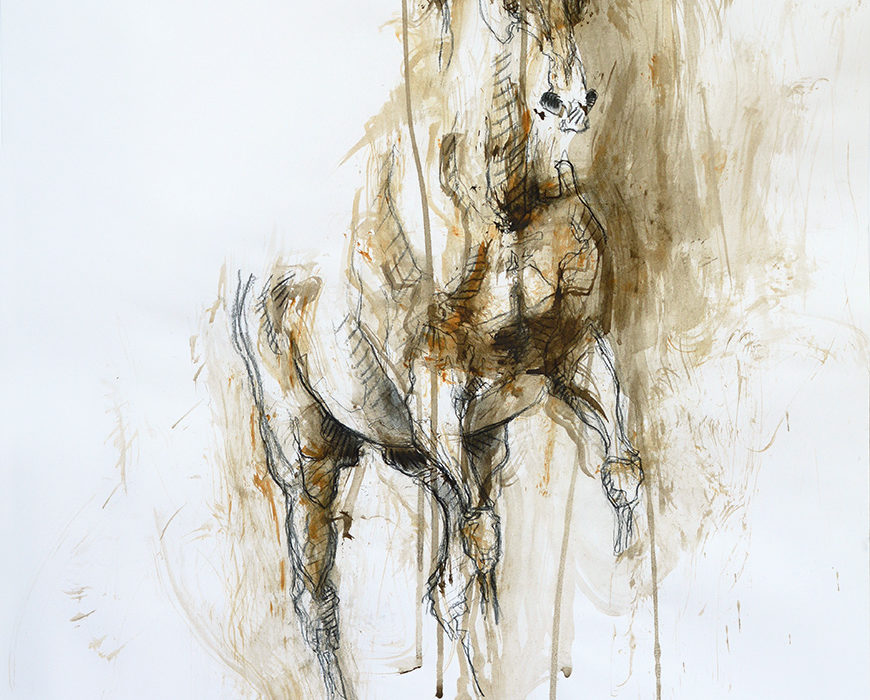 Nu Equin 75t painting on paper